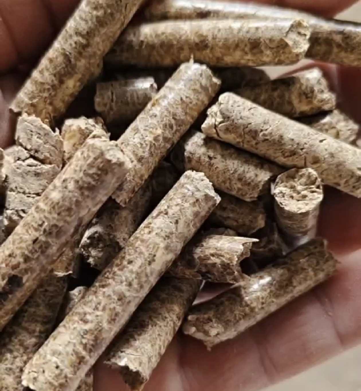 玉米芯大炉颗粒料